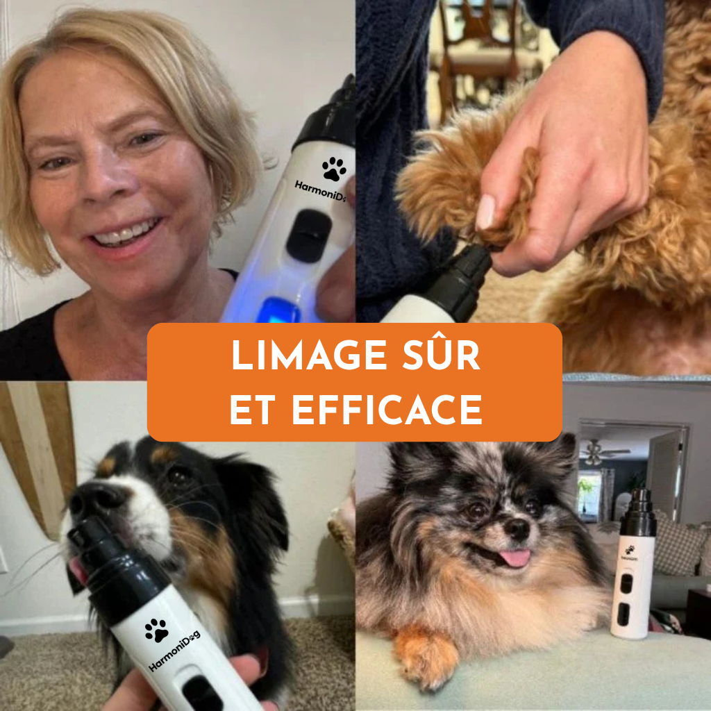 Griff’Douce™ – Le soin des griffes sans peur, sans douleur