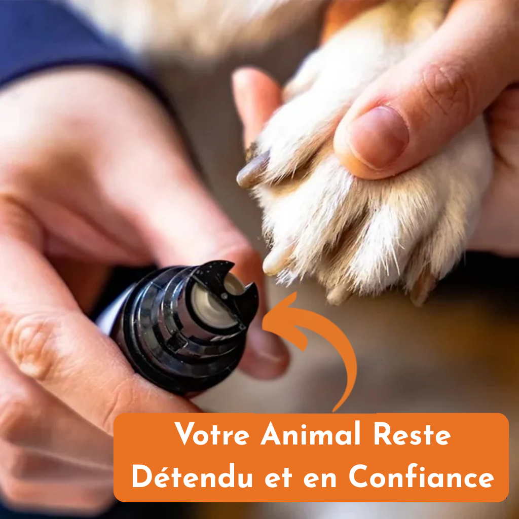 Griff’Douce™ – Le soin des griffes sans peur, sans douleur