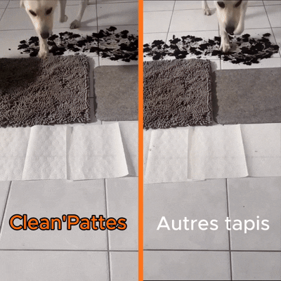 Tapis Clean’Pattes™