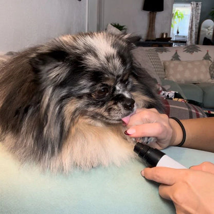 Griff’Douce™ – Le soin des griffes sans peur, sans douleur