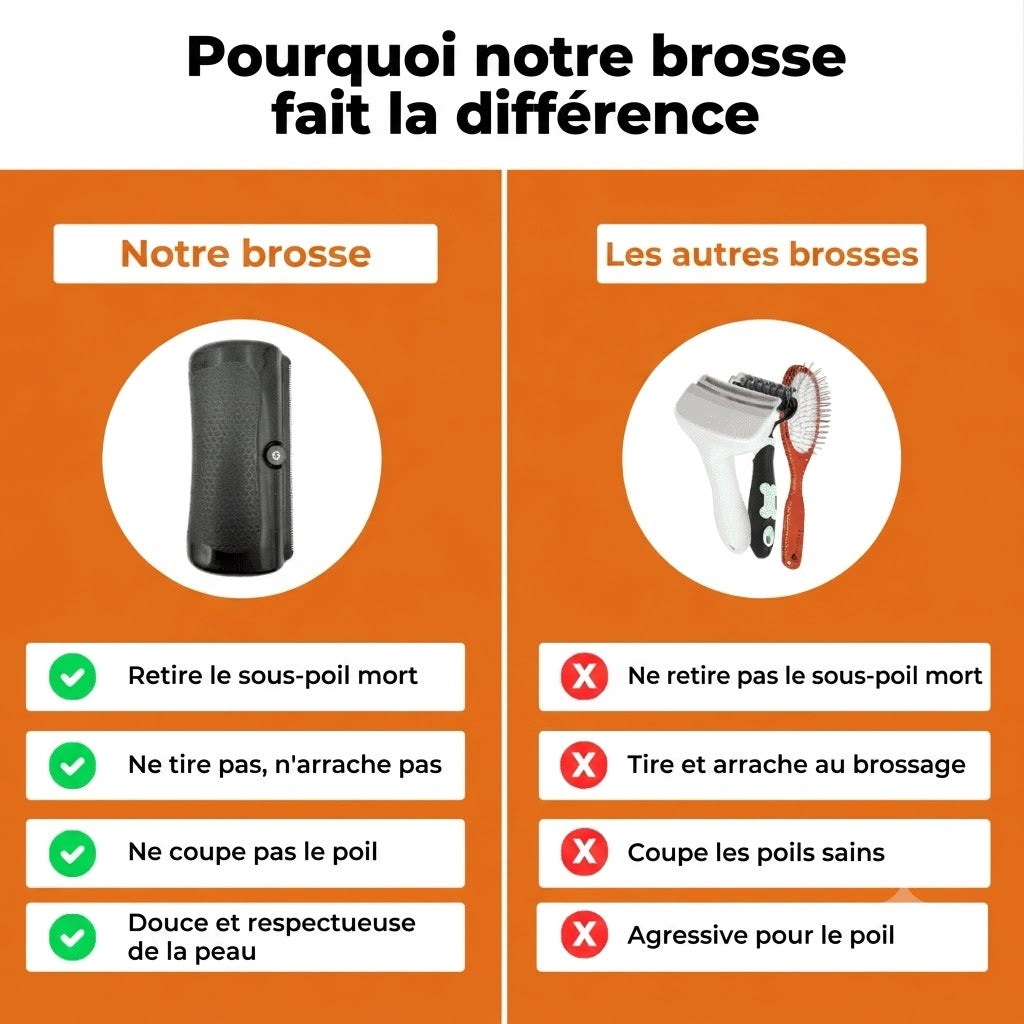 Brosse Clean'Pro™