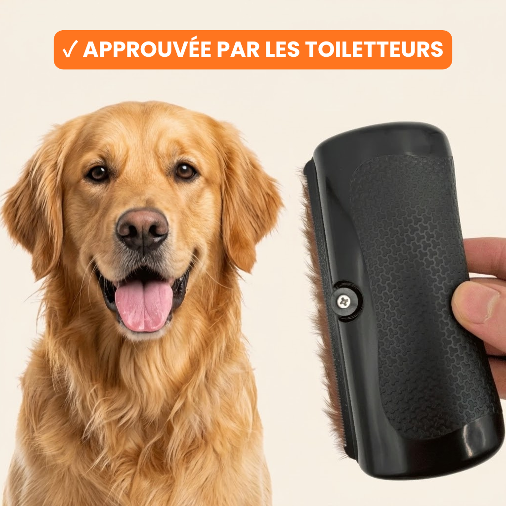 Brosse Clean'Pro™