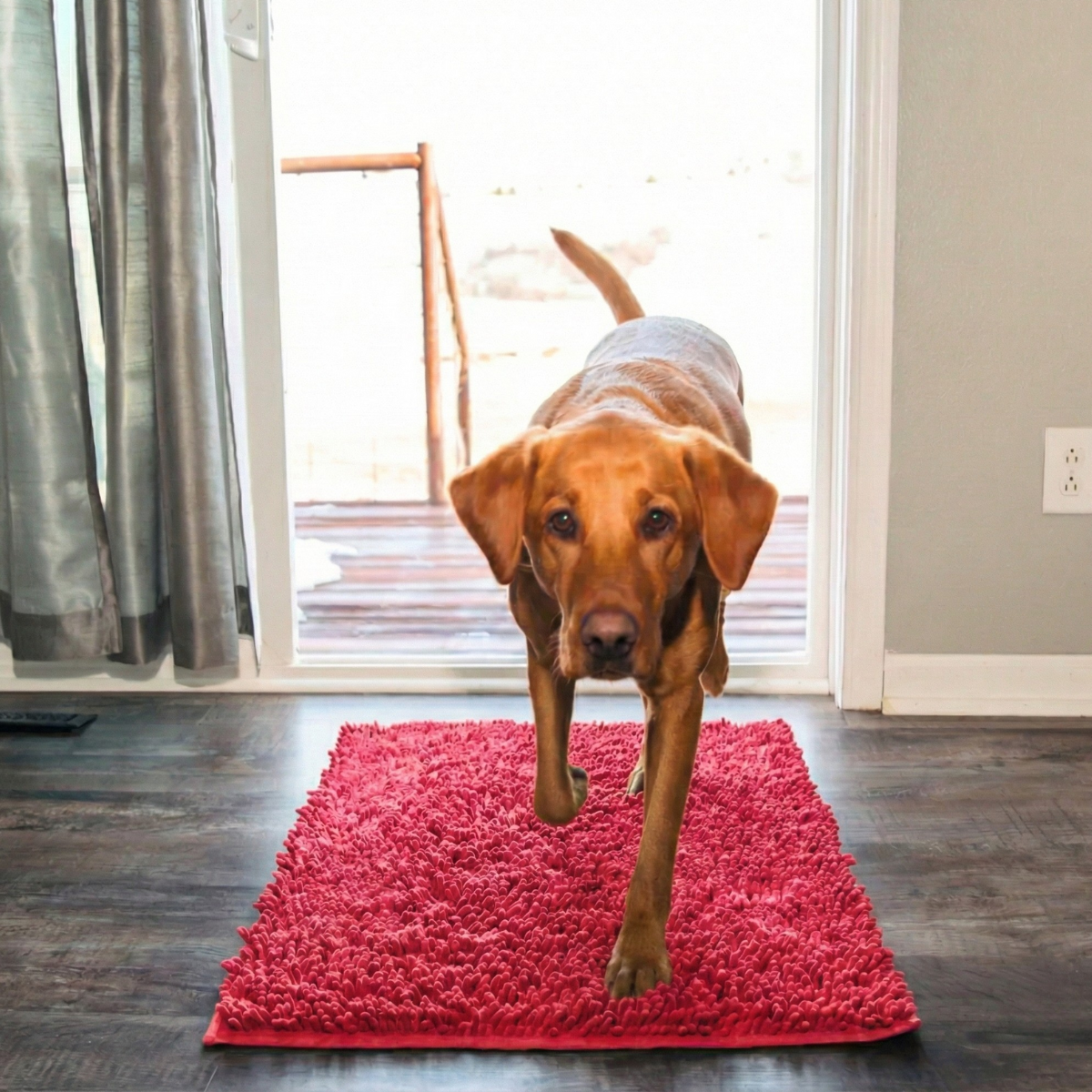 Tapis Clean’Pattes™