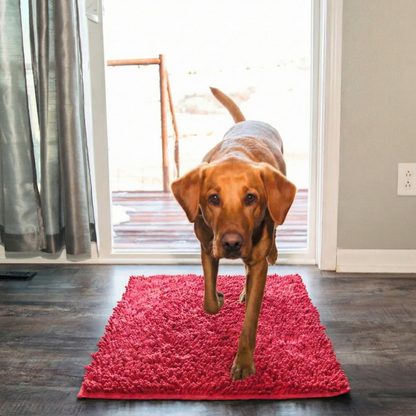 Tapis Clean’Pattes™